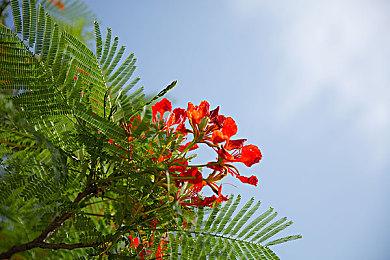 米哈游旗下动态桌面软件《N0va Desktop》免费上线Steam